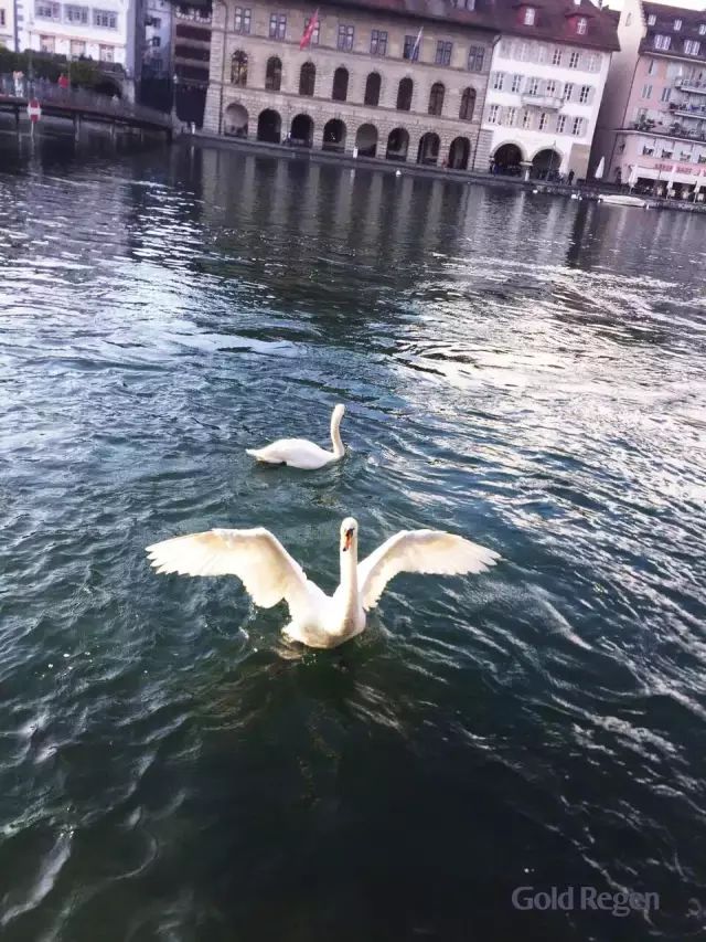 瑞士卢塞恩最美的城市,瑞士卢塞恩湖畔