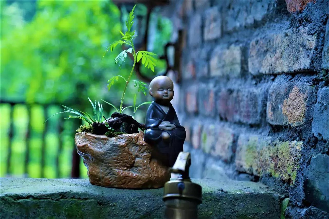 30年间从学徒到大师，46岁他隐居黄山脚下匠心造出2000㎡避世山居