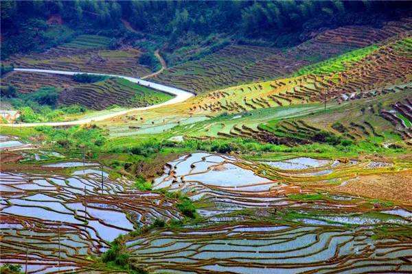 云顶山风景区永泰攻略,福建云顶山风景区在哪里