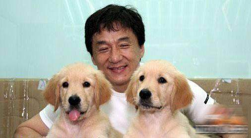 世界名犬金毛犬饲养禁忌,世界名犬大全