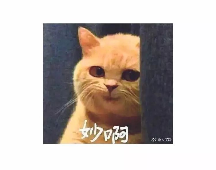 剧情已过半，主角领盒饭，反套路不断，《那年花开》的脑洞忒厉害