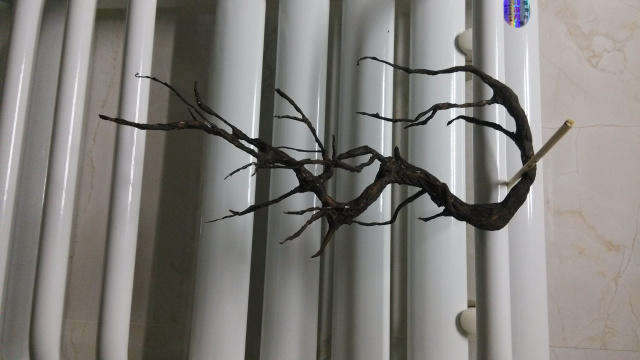 为茶室添一缕梅香，只需卫生纸与铁丝的完美结合