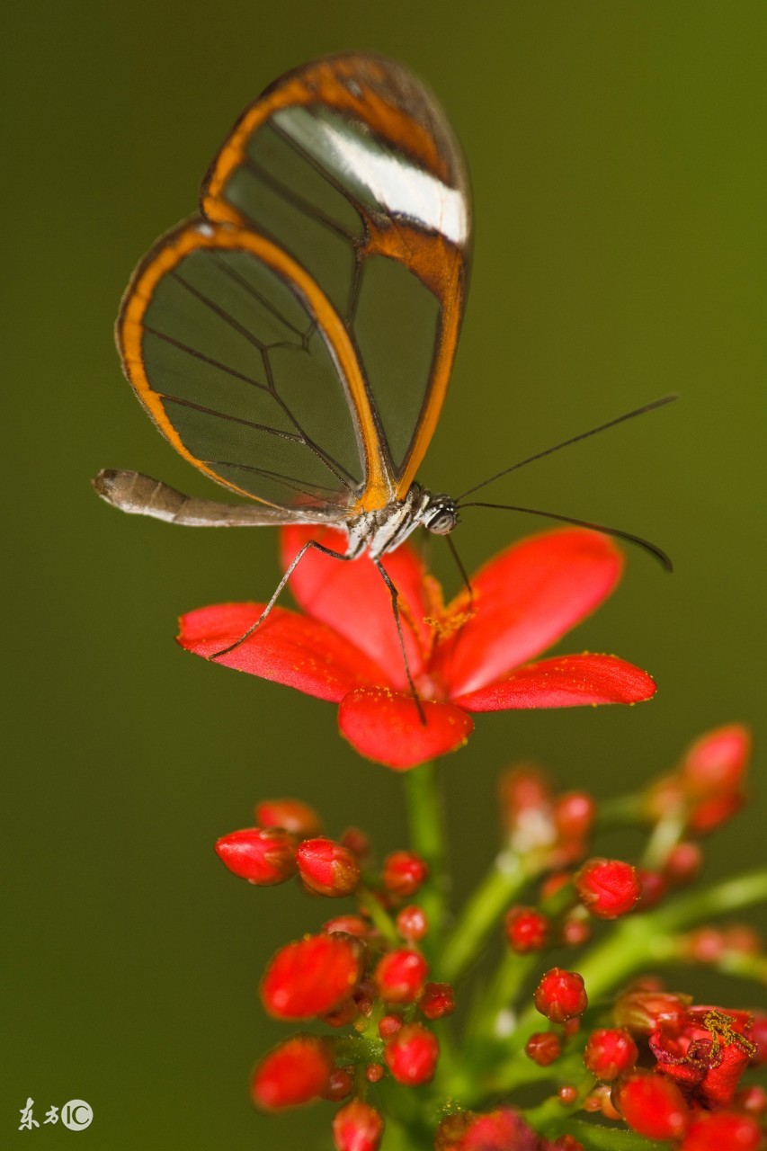 张洁沉重的翅膀片段,沉重的翅膀张洁介绍