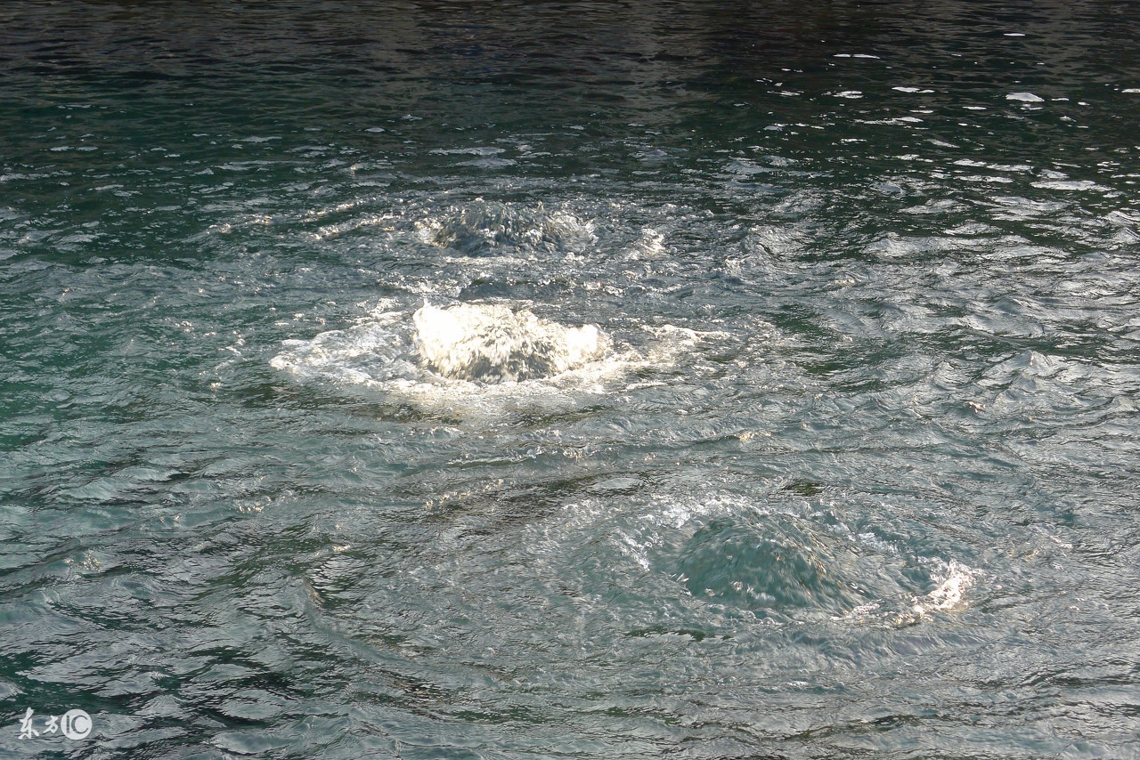 野外饮用水知识科普,户外小知识小妙招全集