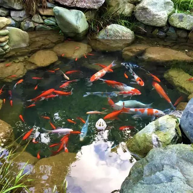 30年间从学徒到大师，46岁他隐居黄山脚下匠心造出2000㎡避世山居