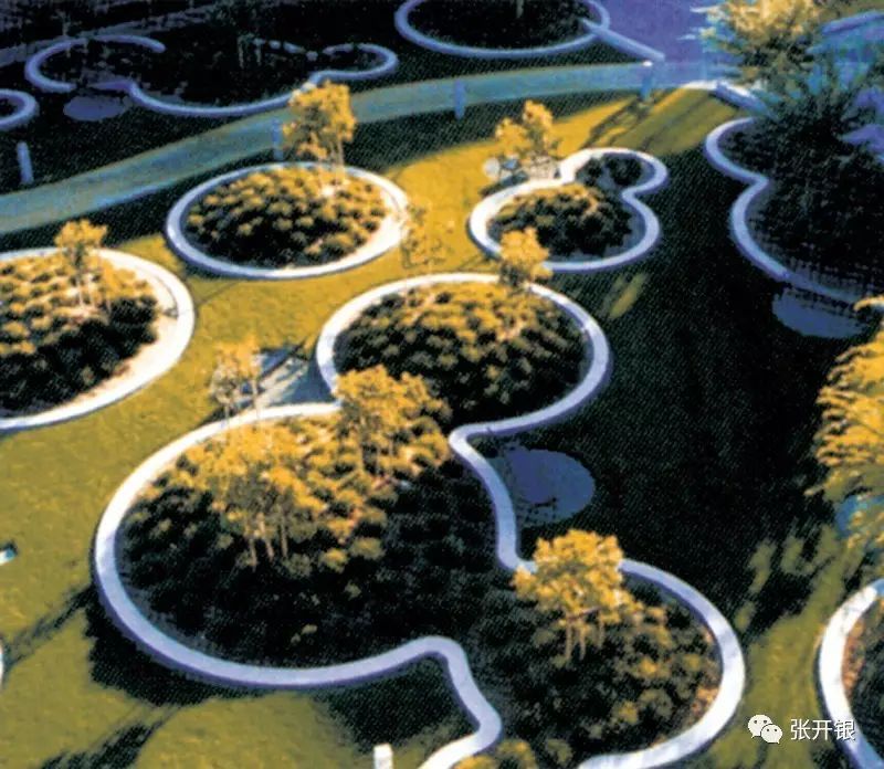 做作品没灵感,园林快题设计图手绘