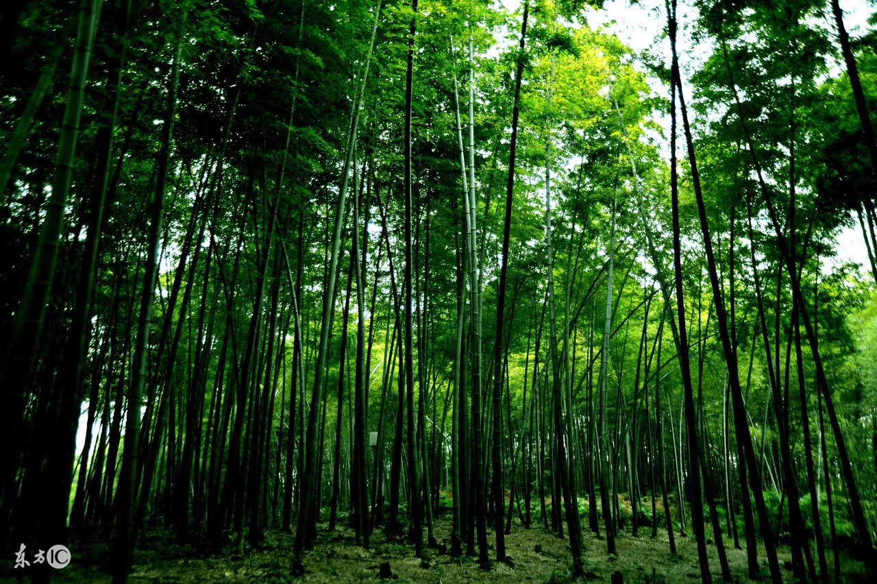 野外饮用水知识科普,户外小知识小妙招全集