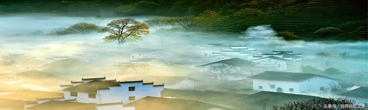 诗歌相见恨晚,世界文学经典诗歌