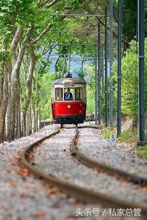 爱和依赖是一回事吗,爱和依赖才是对方的爱