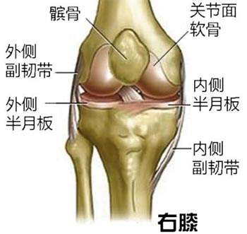 每天花5分钟时间保养你的膝盖,别等老了再后悔膝盖的保养