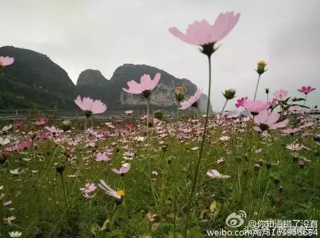 南宁十大最美农家乐推荐,南宁周边烧烤野炊前十排行