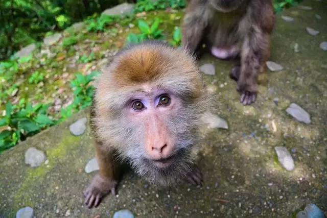 30年间从学徒到大师，46岁他隐居黄山脚下匠心造出2000㎡避世山居