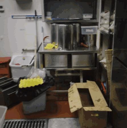 coco壱番屋怎么样,coco壱番屋加盟费多少