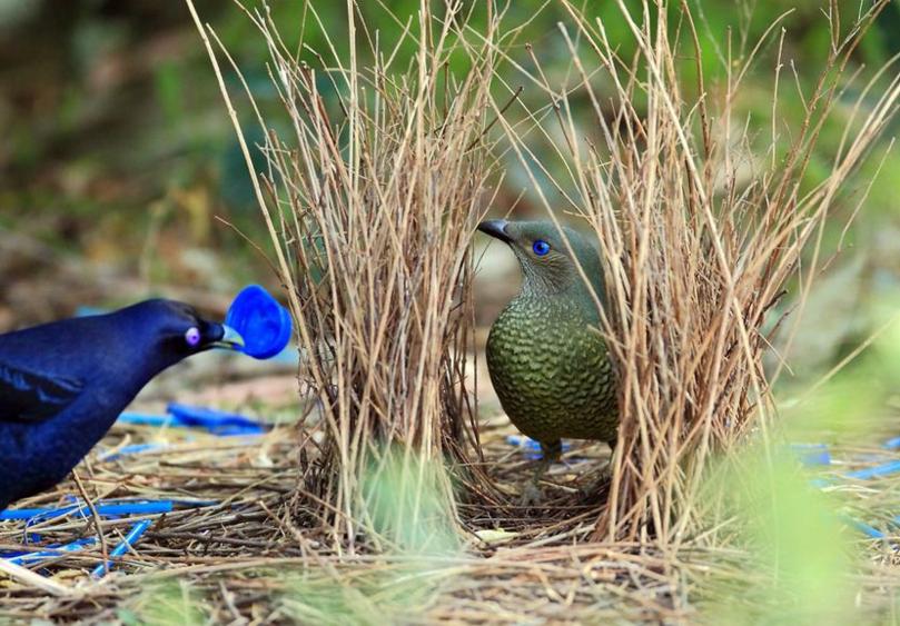 你以为的感情稳定,你以为的爱情实际上是骗局