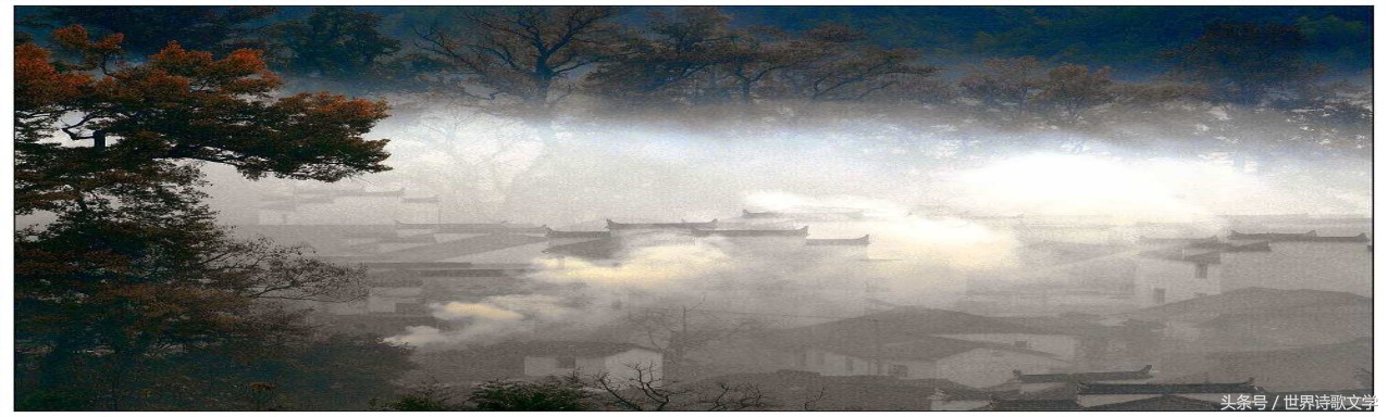 诗歌相见恨晚,世界文学经典诗歌