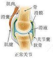 每天花5分钟时间保养你的膝盖,别等老了再后悔膝盖的保养