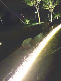 小孩胆太小了,宝宝为什么胆越来越小