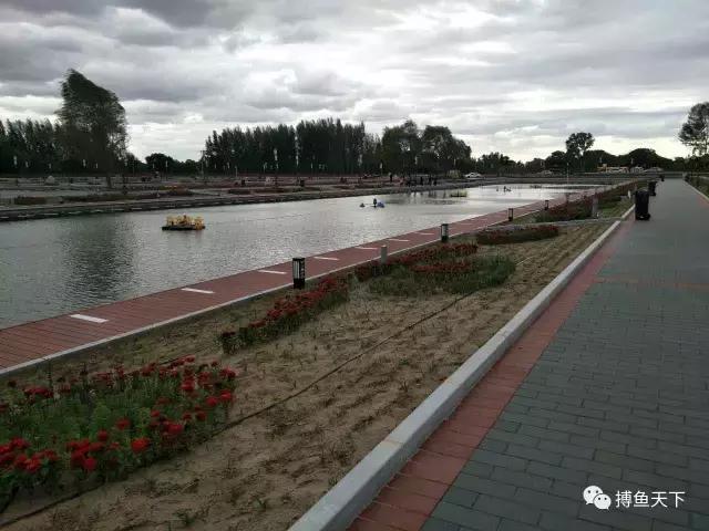 沙海中耀眼的奈曼：一个可以“游遍”内蒙古的地方，有值得体验的钓场