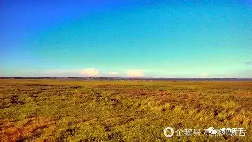 沙海中耀眼的奈曼：一个可以“游遍”内蒙古的地方，有值得体验的钓场