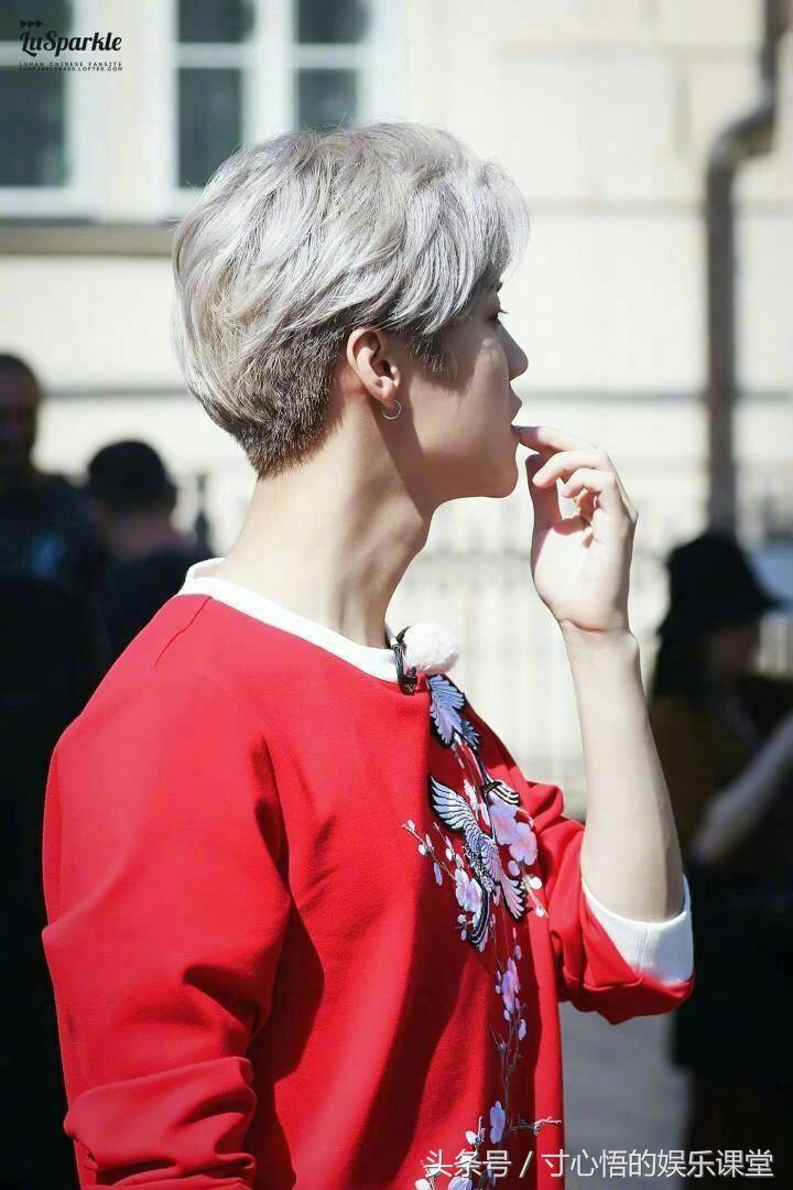 鹿晗q版萌图,鹿晗q版图