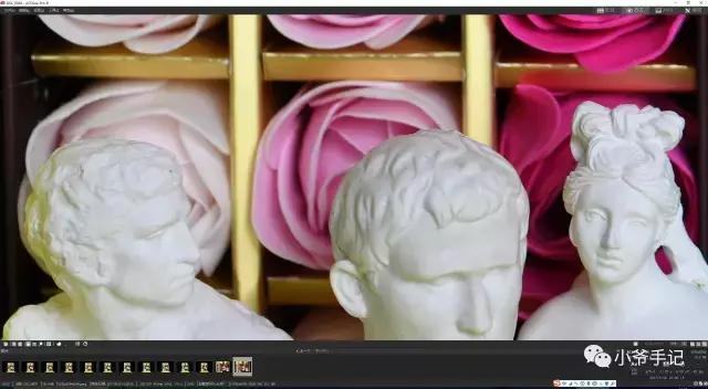 尼康单反d800入门,单反相机尼康D850入门基础教学