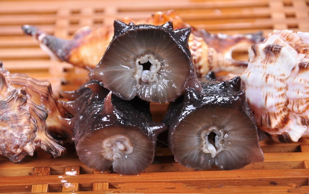 泡发干海参为什么会飘起来,海参自溶后营养物质还在吗