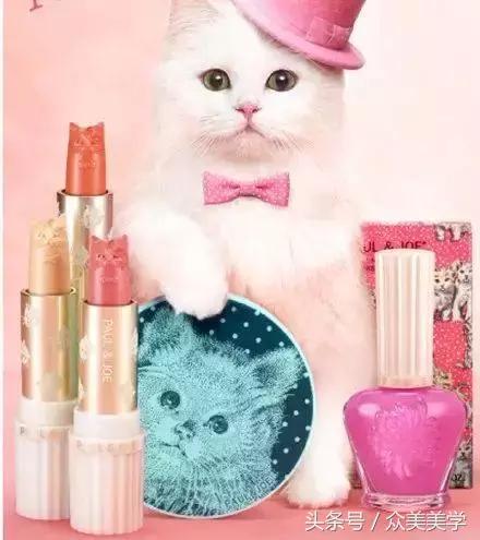 pauljoe2017春季限定猫咪,撸猫司机