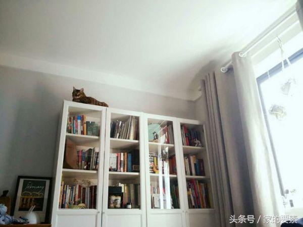 60平小家过出顶级的幸福感，唐长老和玉兔精的没羞没臊日常