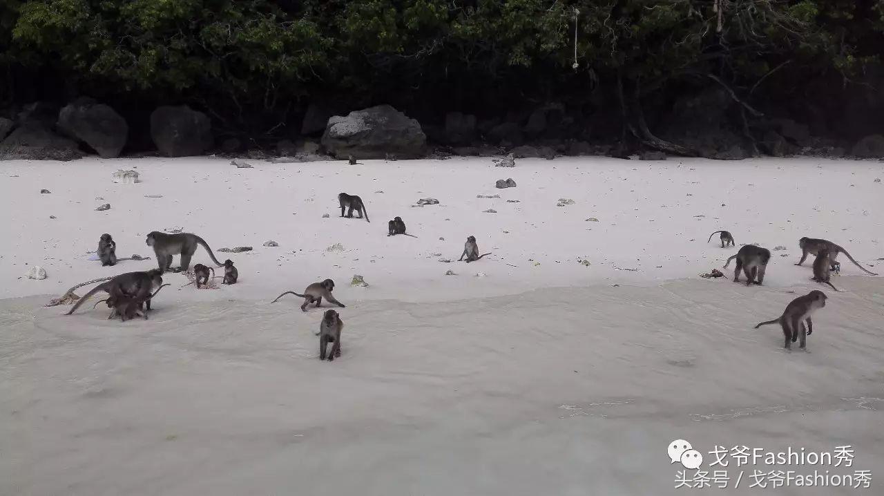 去普吉岛旅行多少钱,普吉性价比住宿