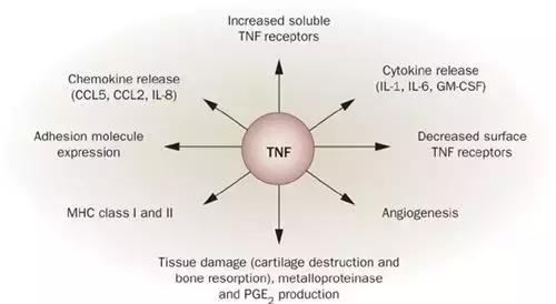 生物制剂治疗类风湿——效果真的那么好吗？！