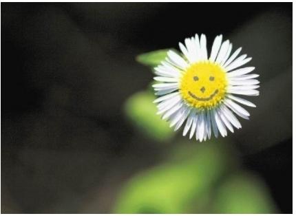 生意太忙了做不过来,生意淡了怎么办