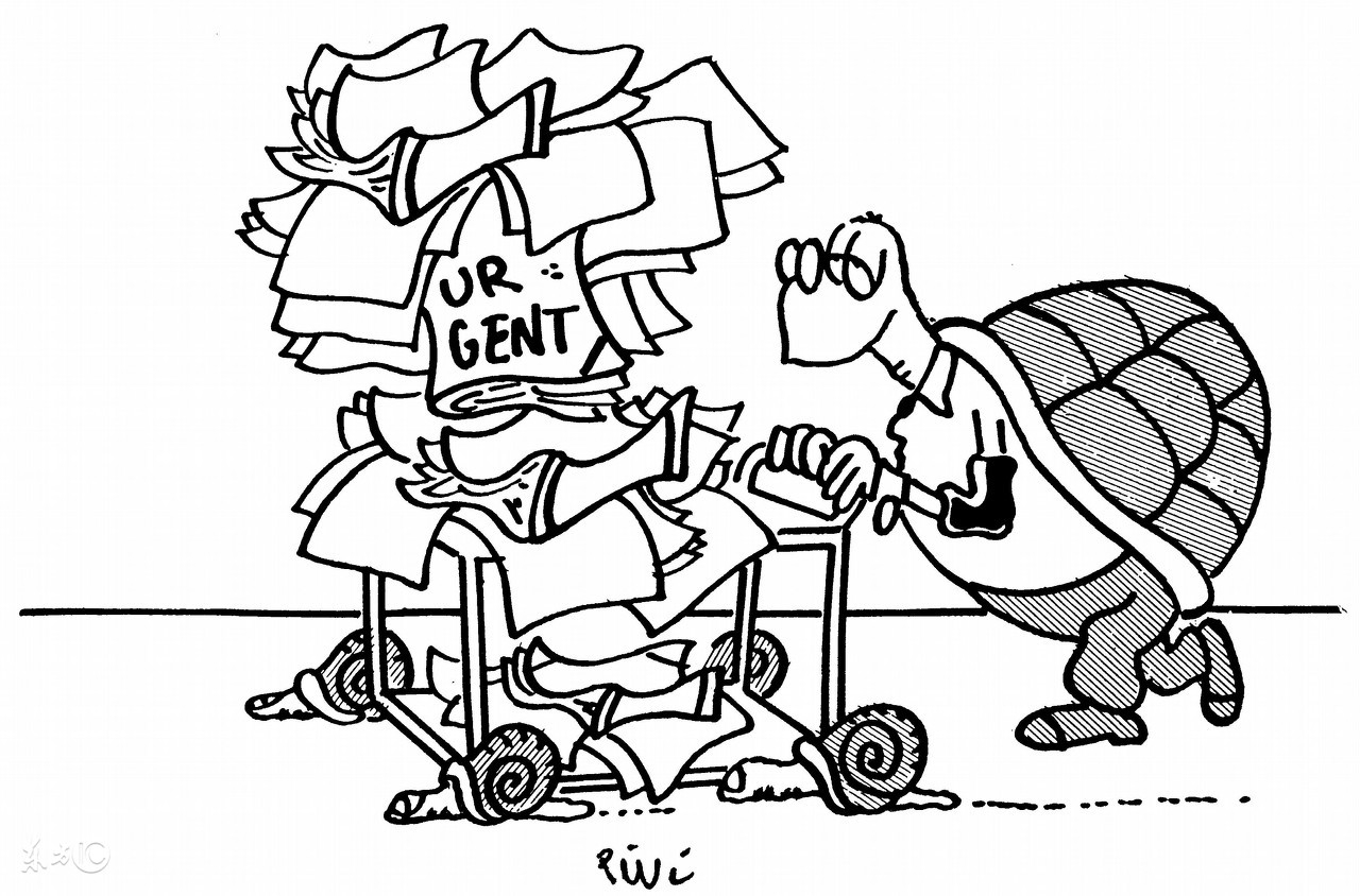 我嫁给了一个比我小十岁的人,我嫁给了一个比我小八岁的男人