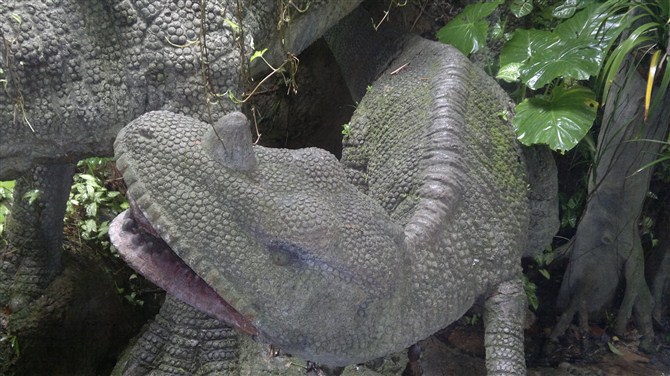 深圳青青世界图片,深圳青青世界校服