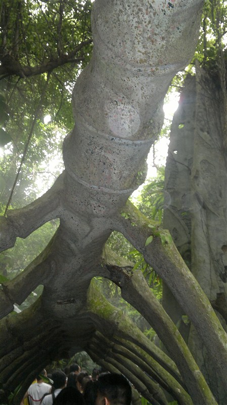 深圳青青世界图片,深圳青青世界校服