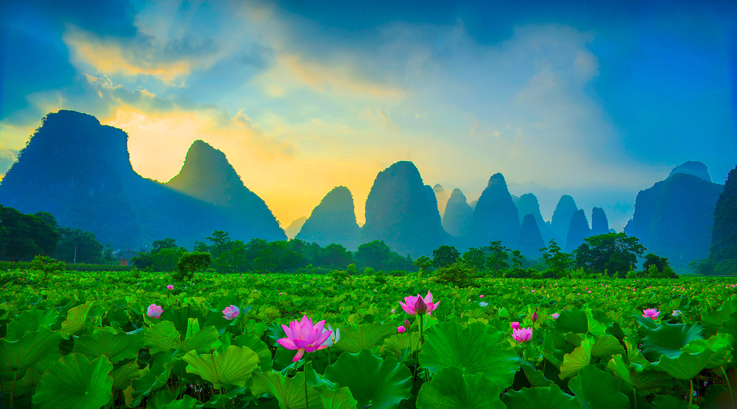 武汉品牌加盟项目排行榜,找品牌早教加盟项目