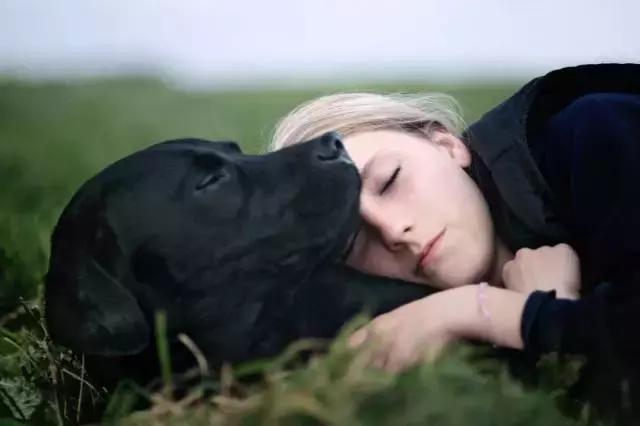 养宠对孕妇和胎儿的影响,怀孕与宠物