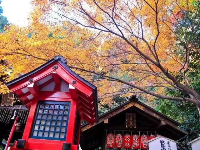 京都岚山小火车旅游攻略,京都岚山枫叶攻略