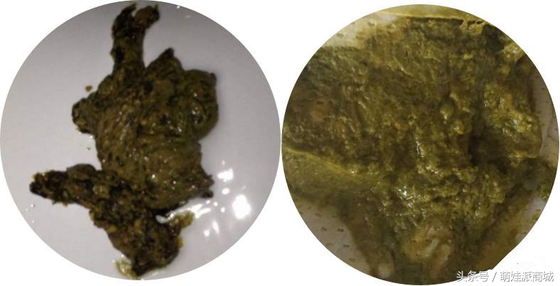 宝宝绿便的十种原因,12种绿便成因