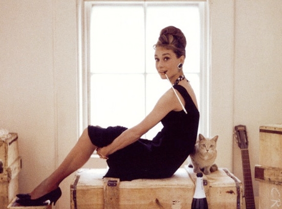 十部顶级喵星人动画片,猫咪动画片视频大全