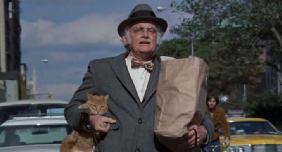 十部顶级喵星人动画片,猫咪动画片视频大全