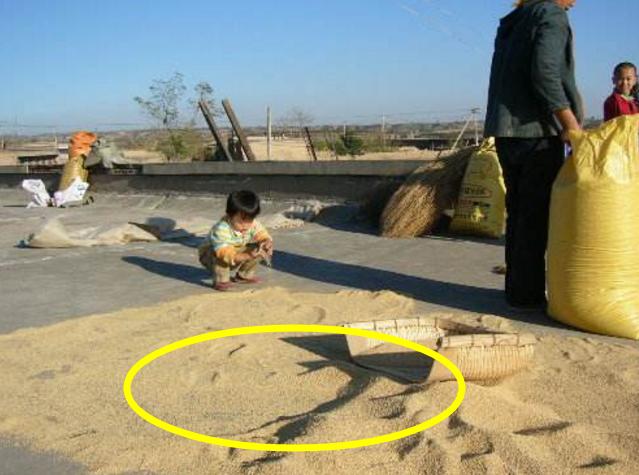 为什么东南亚的屋顶特别尖,老外的房子为什么都是石膏板