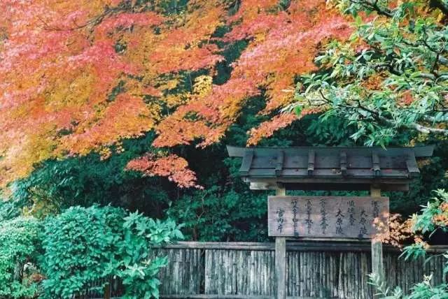 京都岚山小火车旅游攻略,京都岚山枫叶攻略