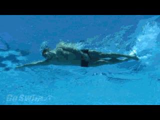 自由泳划水动作练习讲解,一看就会的自由泳划水的标准技巧