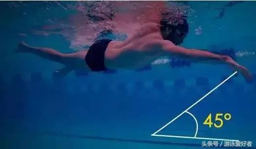 自由泳划水动作练习讲解,一看就会的自由泳划水的标准技巧