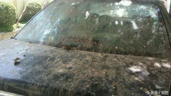 汽车漆面最怕什么液体腐蚀,汽车被雨水腐蚀的漆面怎么去除