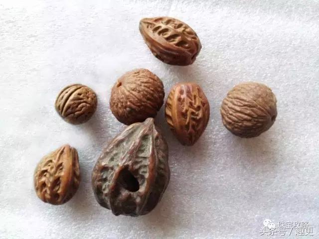 文玩里的虫,文玩里的虫子是什么虫子