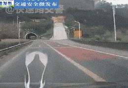 以前身上纹个蝎子怎么遮盖,去年一年胖了30斤