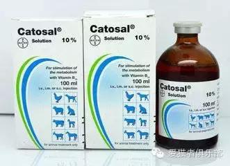 猫咪可以用的人类药品种类,猫咪应激反应常用药