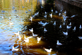 云南丽江香格里拉大理六日游,云南丽江大理香格里拉六日游