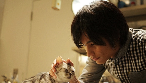 十部顶级喵星人动画片,猫咪动画片视频大全